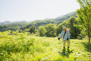 草刈・雑草対策イメージ